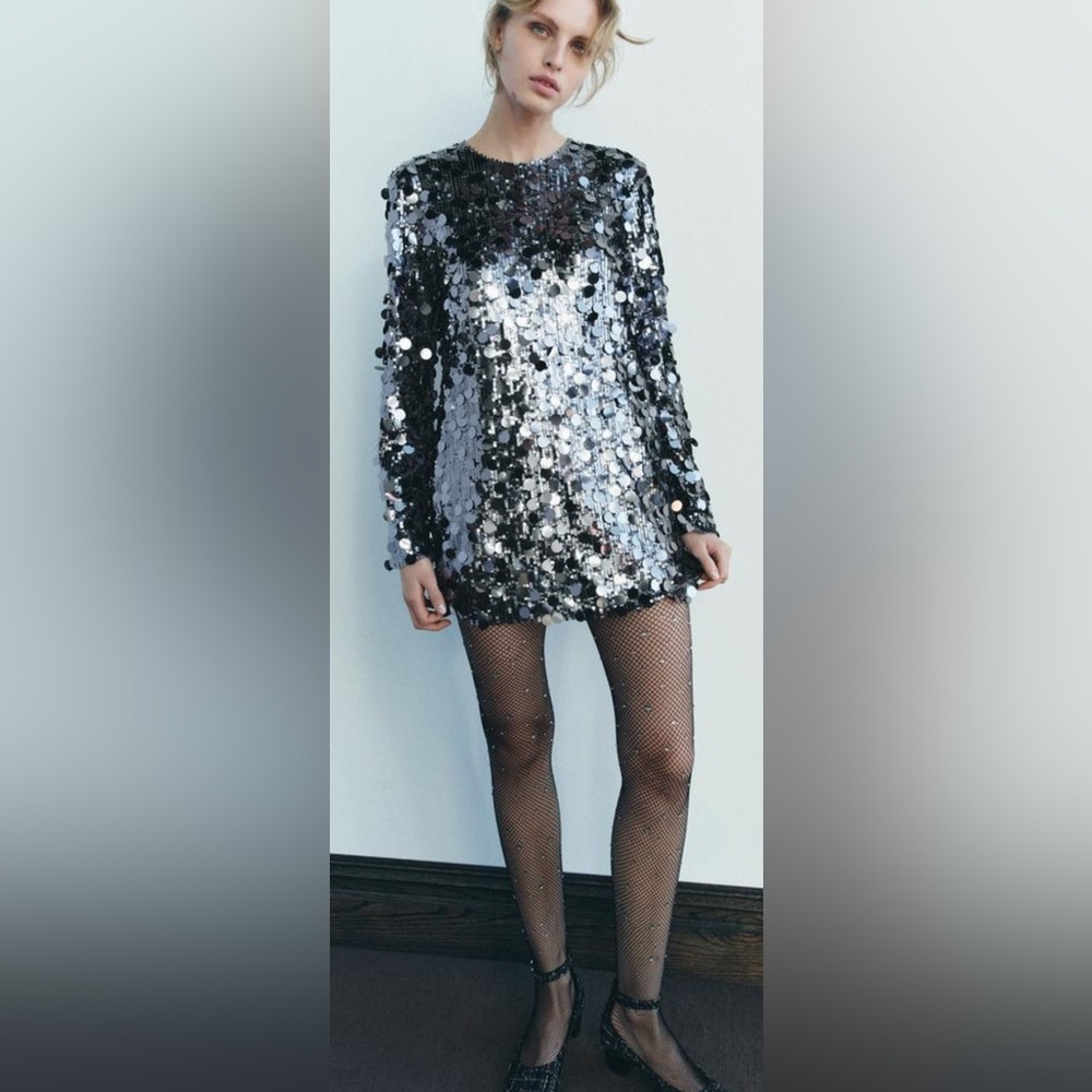 Zara Silver Sequin Dress